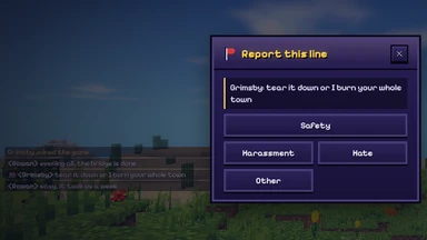 Report this line over the chat: the line quoted, and under it Safety, Harassment, Hate and Other.